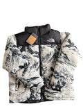 Vintage The North Face Jacket (L)