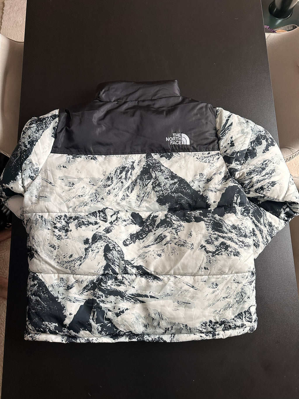 Vintage The North Face Jacket (L)
